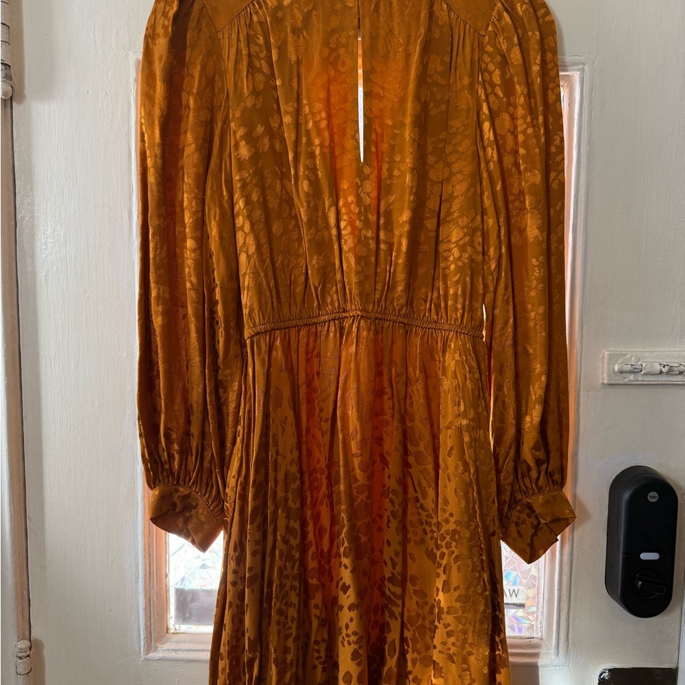 Anthropologie Elegant Burnt Orange Dress